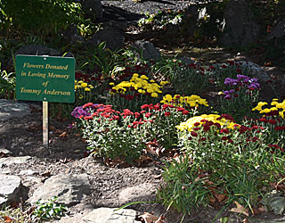 Cedar Grove Cemetery - Sponsor the Flower Beds
