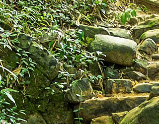 Cedar Grove Cemetery - Sponsor the Water Feature